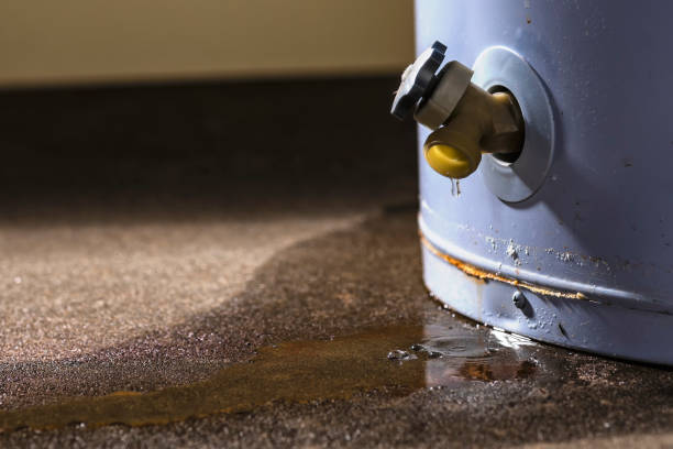 Best Emergency water damage restoration  in Hartington, NE