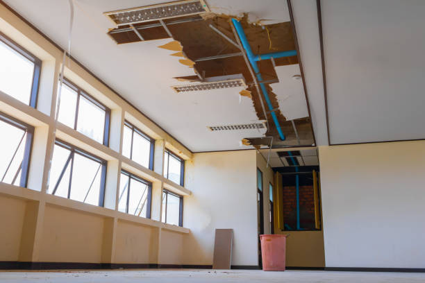 Best 24/7 water damage repair  in Hartington, NE