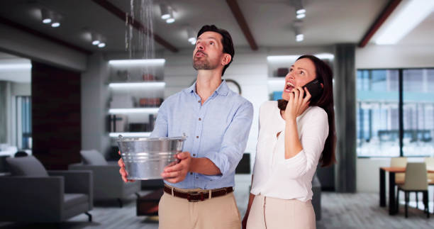 Best 24-hour water damage restoration  in Hartington, NE